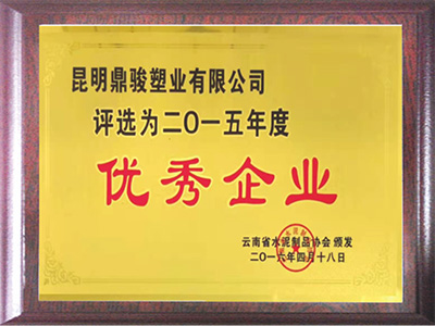 鼎駿2015年度杰出企業(yè)