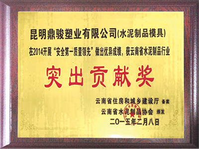 鼎駿突出貢獻(xiàn)獎(jiǎng)