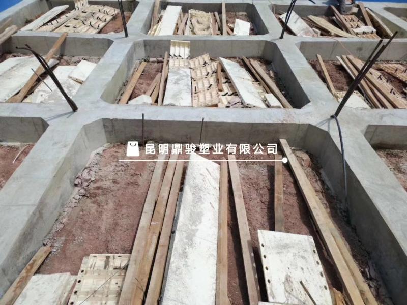 鼎駿工程塑料模板