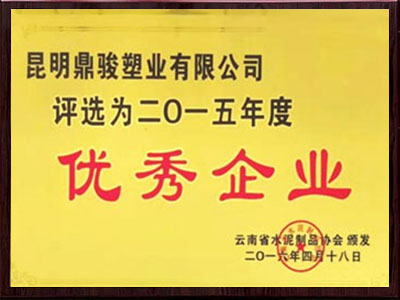 鼎駿2015年杰出企業(yè)榮譽(yù)