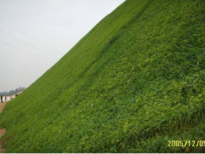 護(hù)坡工程