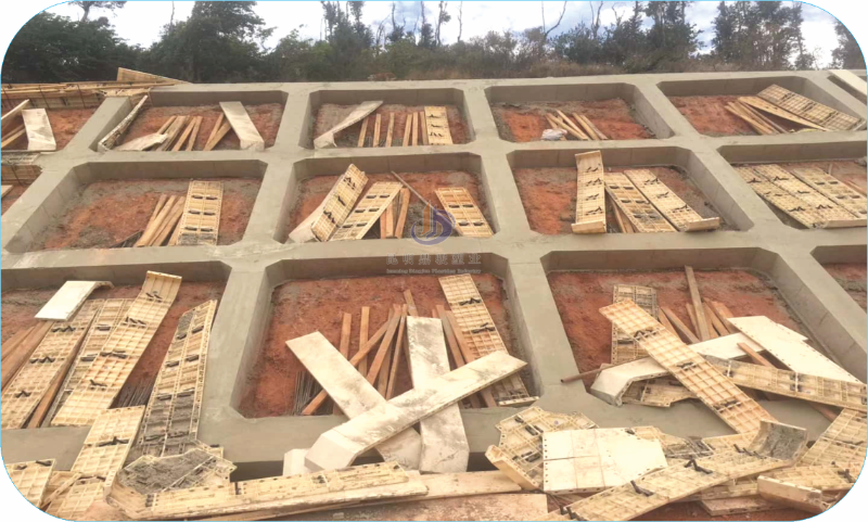 12.24邊坡框格梁.2